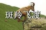 斑羚飞渡教学反思