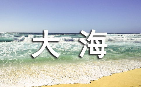 我终于见到了大海小学作文