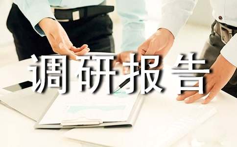 调研报告心得体会