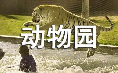 把家庭写成动物园的作文 - 体裁家庭作文