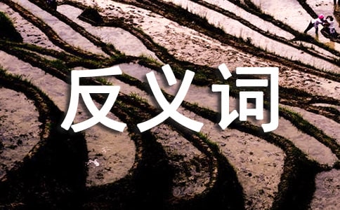 小升初同义词与反义词大全