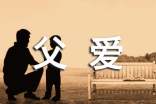 父爱初中作文