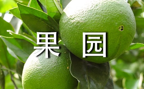 (经典)果园承包合同14篇
