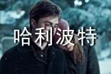 哈利波特读后感