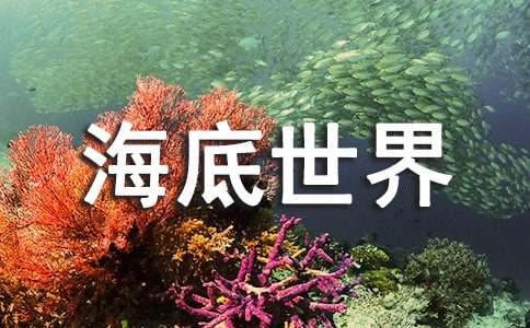 关于海底世界教案模板汇编8篇