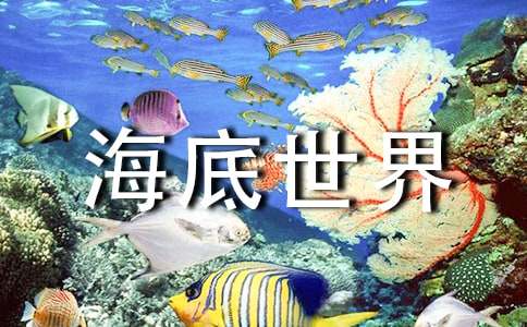 《海底世界》教案范文合集6篇