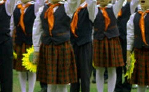 精选红领巾小学作文锦集5篇