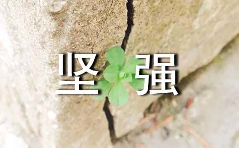 以坚强为话题的作文