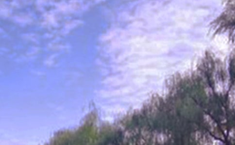 三年级上册第六单元:描写长城景色的作文