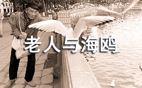 �������뺣Ÿ������˵�θ壨��ѡ3ƪ��