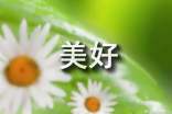 【推荐】美好话题作文集合九篇