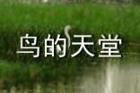 《鸟的天堂》教学设计
