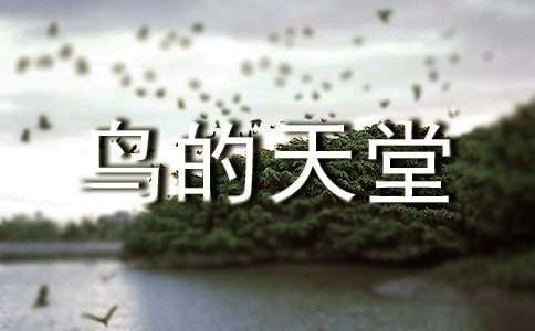 关于鸟的天堂教案九篇