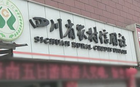 农村信用社副主任的年度述职报告范文