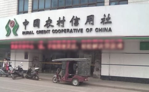 农村信用社的实习报告合集5篇