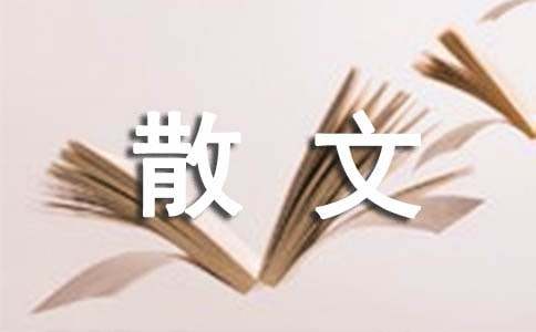 高三散文《旧信重读》试题及答案