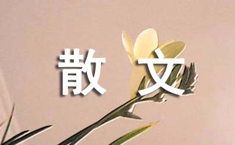 【精华】初中散文作文3篇