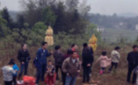 烈士陵园扫墓心得体会(通用24篇)