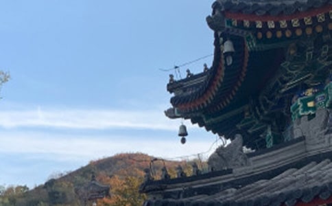 《世界上下五千年》读后感400字范文