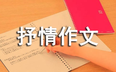 高中写雨的抒情作文(通用28篇)