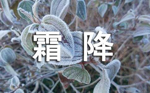 霜降小学作文