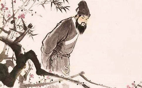 苏轼去拜访王安石合性学习活动试题及答案