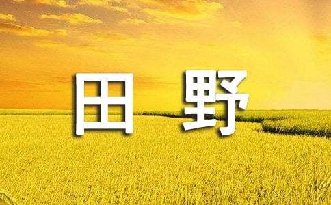 课文我们的田野的教学设计