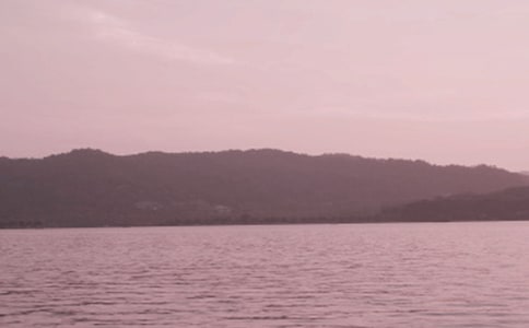 美丽的西湖初中作文三篇
