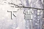 【实用】下雪日记4篇
