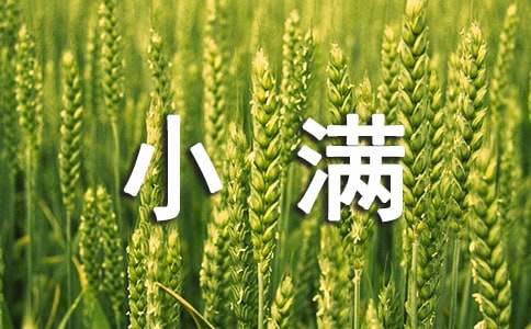 以小满为话题的作文