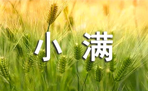 人生最好是小满高中作文