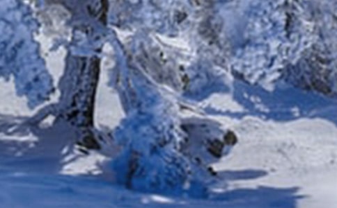 小雪小班教案范文(精选5篇)