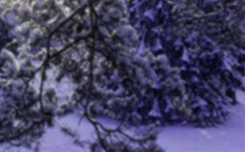 小班快乐的小雪人教案
