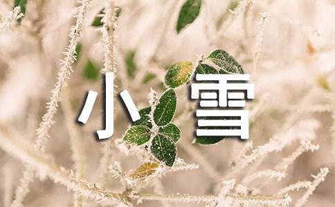 《好心的小雪人》教案