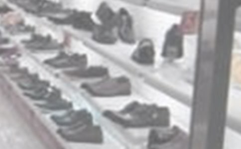 大班科学活动《多多鞋店》教案设计