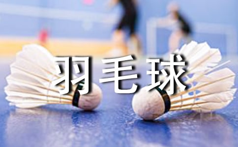 羽毛球大赛策划书6篇