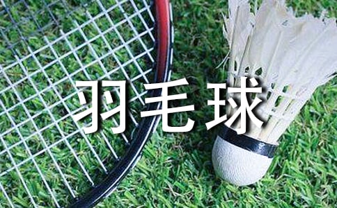羽毛球比赛的策划书15篇