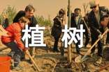 植树问题教学反思