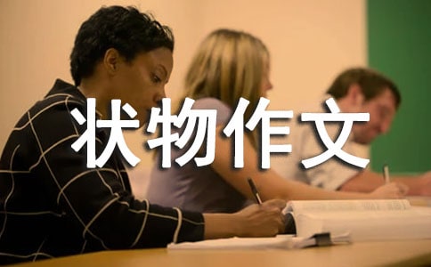 不速之客初中状物作文