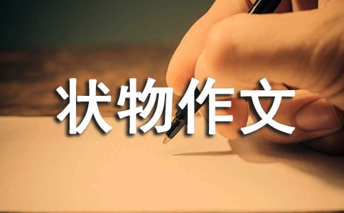 【精选】初中状物作文十篇