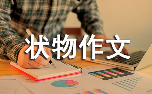 氧气层的自我介绍状物作文