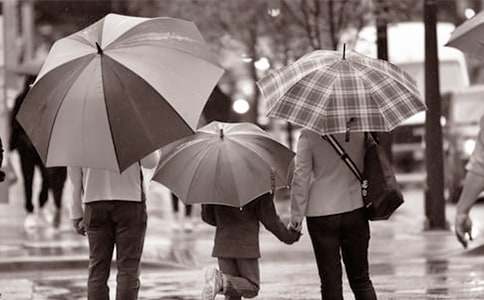 д���ְ�����ĸ�л��15ƪ