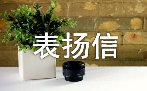 ��ҵ������(15ƪ)