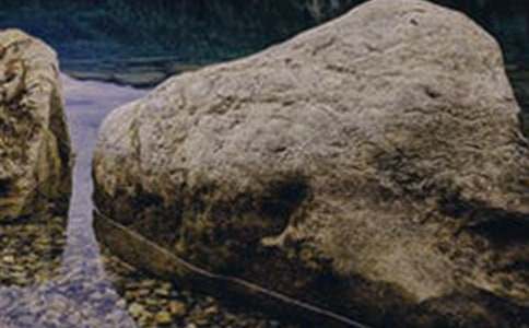 Сѧ���꼶������ֵĴ�ʯͷ��ѧ��˼