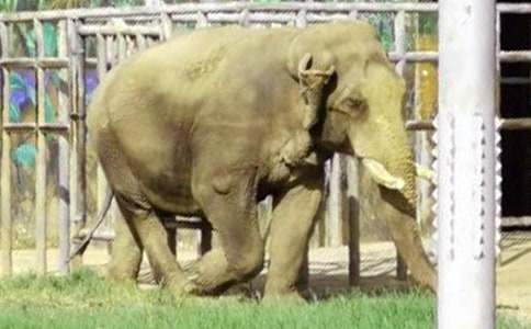 ������Ķ��䡷��ѧ���8ƪ