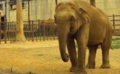 ������Ķ��䡷��ѧ���