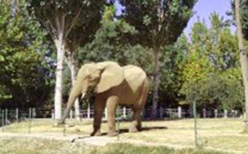 ������Ķ��䡷�����ѧ��Ʒ���