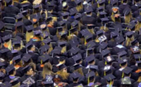 ��ѧ�����ʵ������[����15ƪ]