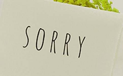 给同学一封道歉信
