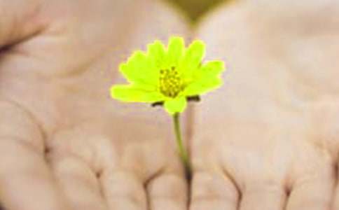 ���ŵĵ�Ǹ��